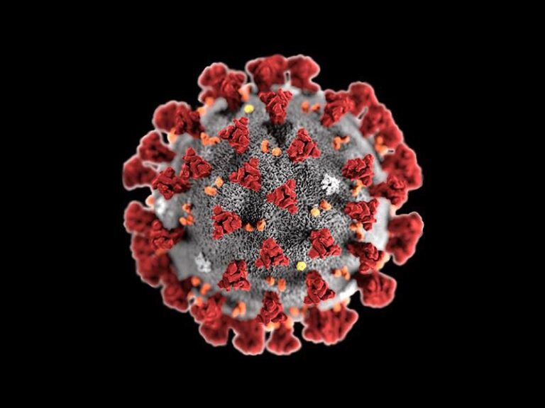 COVID-19 Response